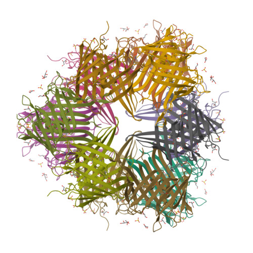 Rcsb Pdb Ghb Crystal Structure Of A Porin Like Protein Bacuni