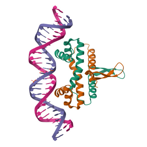 RCSB PDB 4IHX Crystal Structure Of Fis Bound To 27 Bp 2 Aminopurine