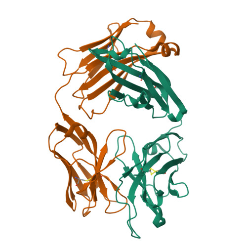 Rcsb Pdb Jha Crystal Structure Of Rsv Neutralizing Human Antibody D