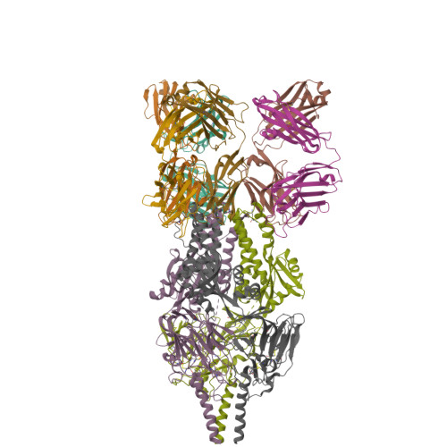 Rcsb Pdb Jhw Crystal Structure Of Respiratory Syncytial Virus