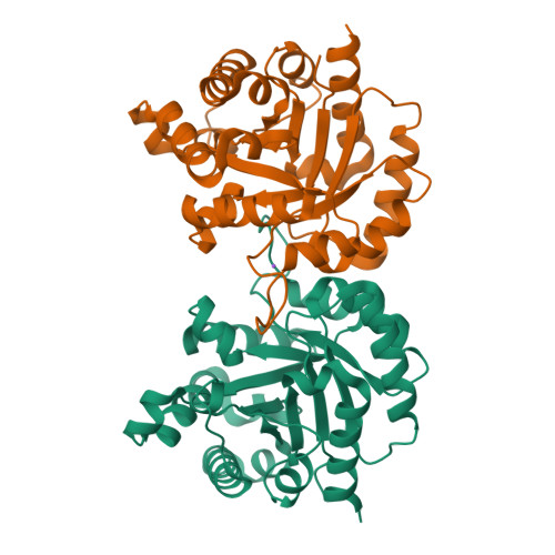 Rcsb Pdb K A Revised Crystal Structure Of Apo Form Of