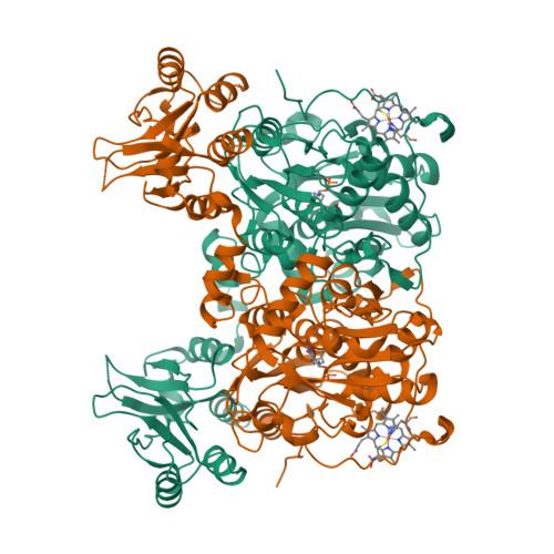 RCSB PDB 4L0D Crystal Structure Of Delta516 525 Human Cystathionine