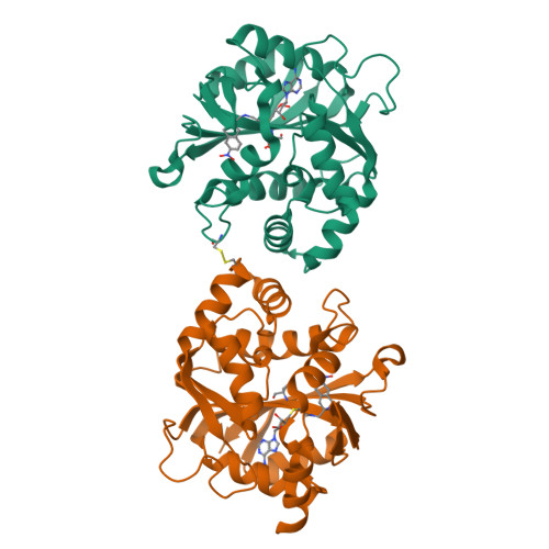 Rcsb Pdb Mik Crystal Structure Of Hpnmt In Complex With Bisubstrate