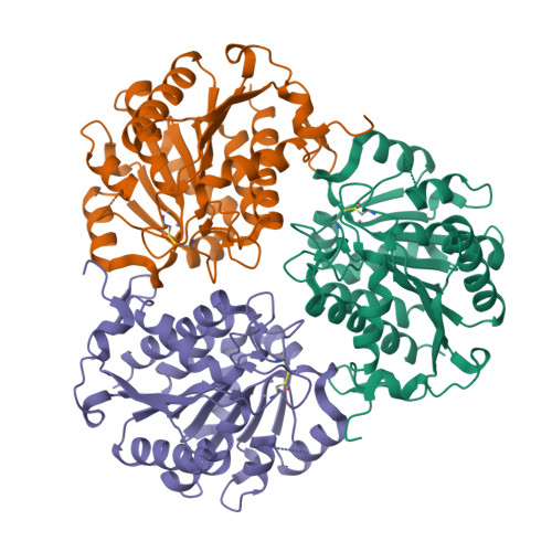 Rcsb Pdb Myk Crystal Structure Of Trypanosoma Cruzi