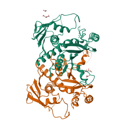 Rcsb Pdb O Crystal Structure Of Chorismate Synthase From