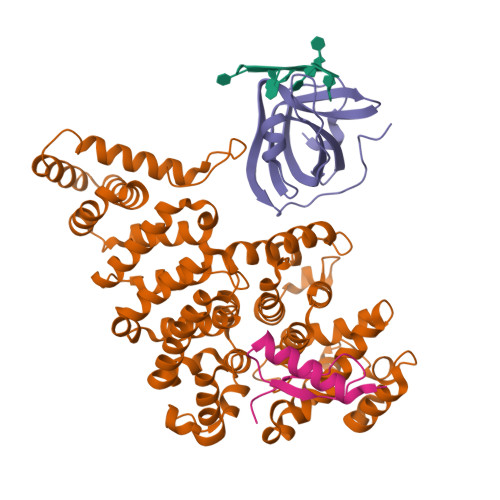 Rcsb Pdb Oww Structural Basis Of Soss In Complex With A Nt Ssdna