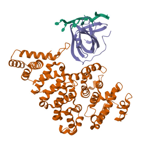 RCSB PDB 4OWX Structural Basis Of SOSS1 In Complex With A 12nt SsDNA