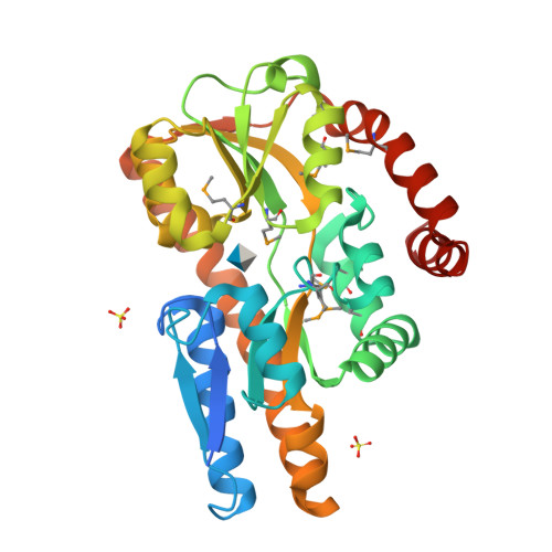 RCSB PDB 4P1L Crystal Structure Of A Trap Periplasmic Solute Binding