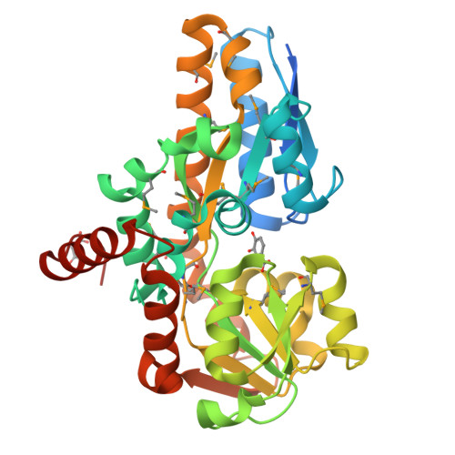 Rcsb Pdb Paf Crystal Structure Of A Trap Periplasmic Solute Binding