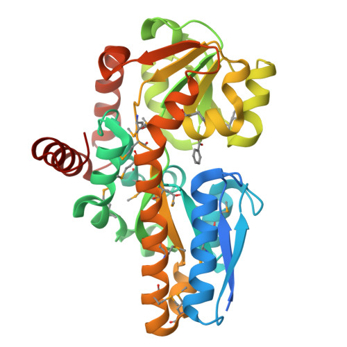 Rcsb Pdb Pbh Crystal Structure Of A Trap Periplasmic Solute Binding