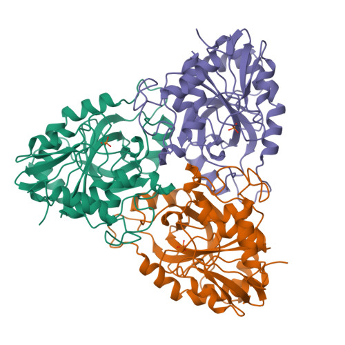 RCSB PDB 4PNP THE HIGH RESOLUTION CRYSTAL STRUCTURE OF BOVINE SPLEEN