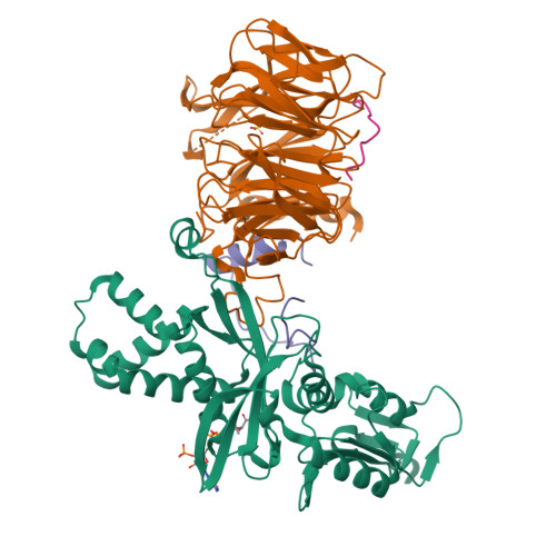 Rcsb Pdb Psx Crystal Structure Of Histone Acetyltransferase Complex