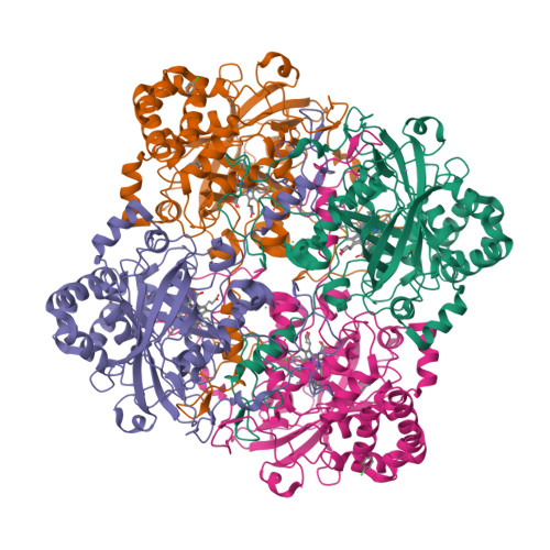 Rcsb Pdb Qor Structure Of Bacillus Pumilus Catalase With