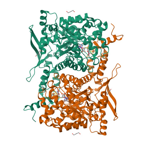 Rcsb Pdb S Crystal Structure Of Arabidopsis Thaliana Thic With