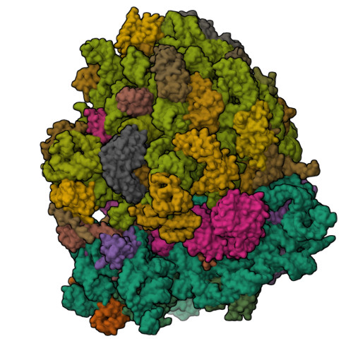 Rcsb Pdb V L The Structure Of Ef Tu And Aminoacyl Trna Bound To The