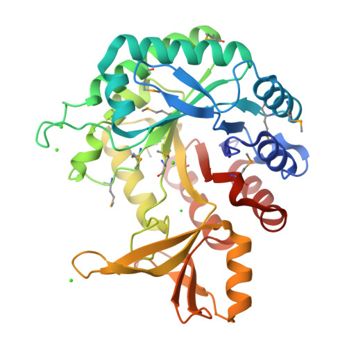 Rcsb Pdb Wiw Crystal Structure Of C Terminal Domain Of Putative