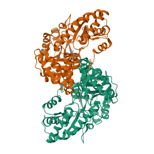 RCSB PDB 4WLH High Resolution Crystal Structure Of Human Kynurenine