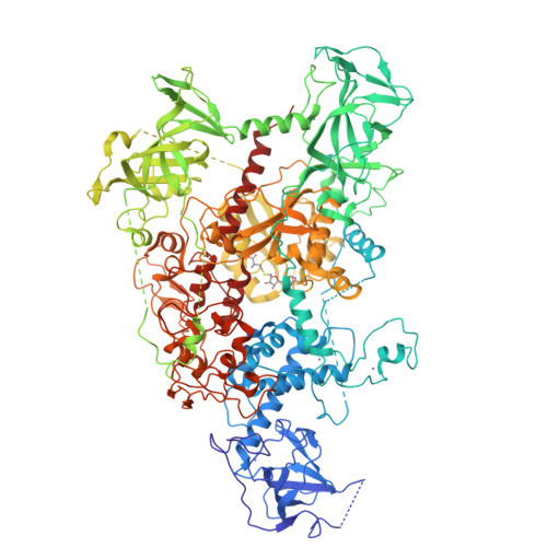 Rcsb Pdb Wxx The Crystal Structure Of Human Dnmt