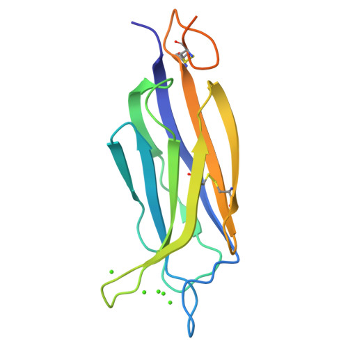 Rcsb Pdb Y T Structural Basis For Ca Mediated Interaction Of The