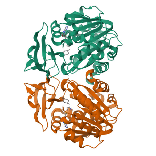 RCSB PDB 4YUW Crystal Structure Of Trypanosoma Cruzi Spermidine