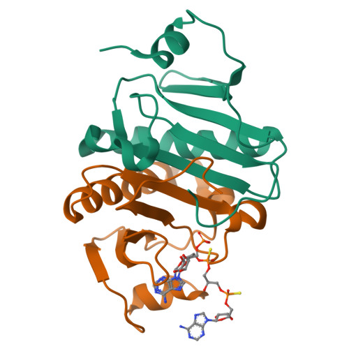 Rcsb Pdb Zkl Crystal Structure Of Human Histidine Triad Nucleotide