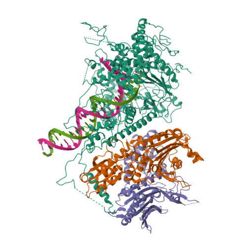 RCSB PDB 4ZTU Structural Basis For Processivity And Antiviral Drug