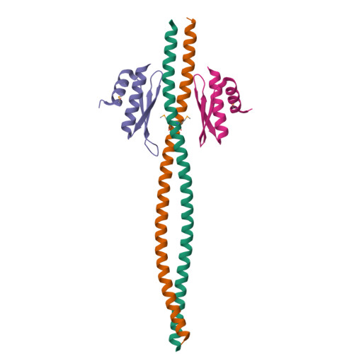 RCSB PDB 5CFF Crystal Structure Of Miranda Staufen DsRBD5 Complex