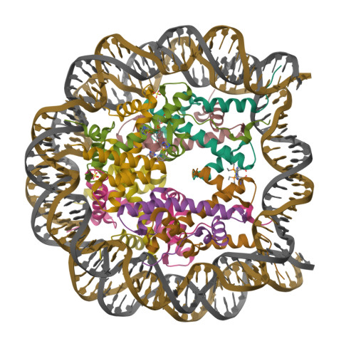 Rcsb Pdb Dnn Nucleosome Core Particle Containing Adducts Of Gold I