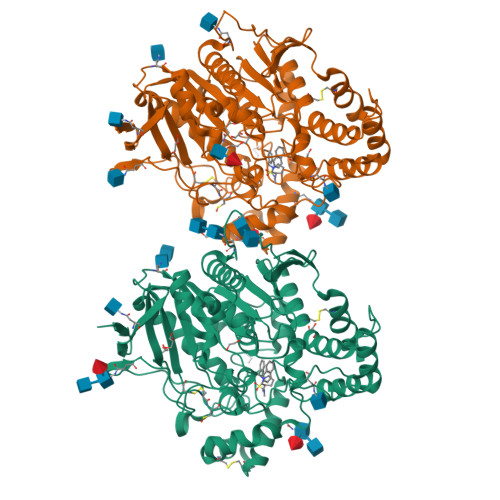 RCSB PDB 5DYT Crystal Structure Of Human Butyrylcholinesterase In