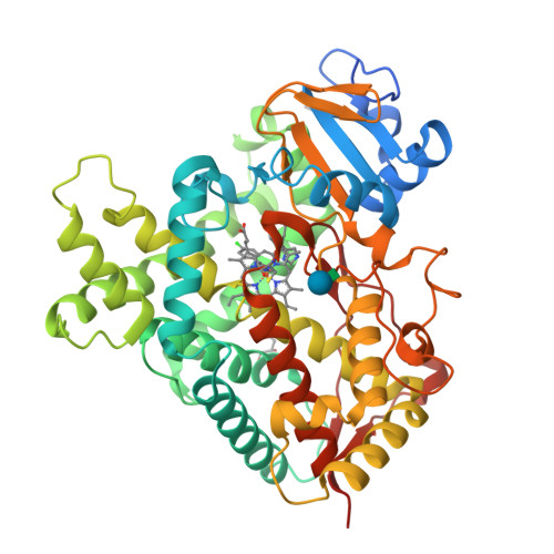 Rcsb Pdb E Crystal Structure Of Cytochrome P B From Desert