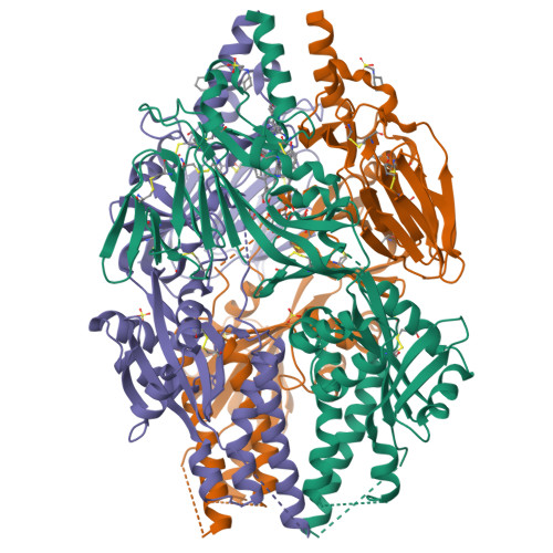 Rcsb Pdb Ea Crystal Structure Of Inhibitor Tmc In Complex