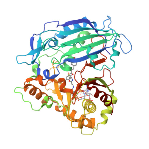 RCSB PDB 5FAN Crystal Structure Of PvHCT In Complex With P Coumaroyl