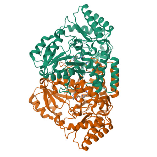 RCSB PDB 5HDM Crystal Structure Of Arabidopsis Thaliana Glutamate 1