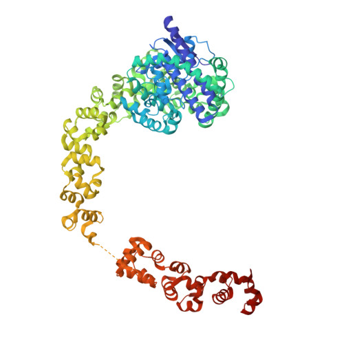 RCSB PDB 5HM5 Crystal Structure Of Topo 97 An N Terminal 97kDa