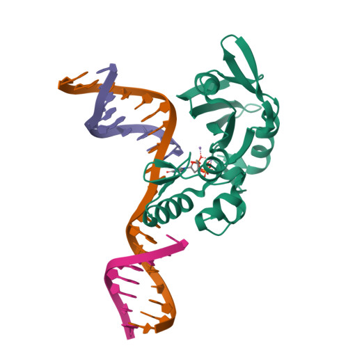 RCSB PDB 5HRH The Crystal Structure Of AsfvPolX H115F R127A Mutant