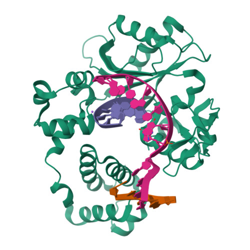 RCSB PDB 5IIL Crystal Structure Of The Post Catalytic Nick Complex