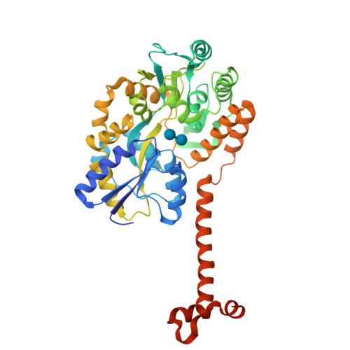 Rcsb Pdb Iqz Crystal Structure Of N Terminal Domain Of Human Sirt