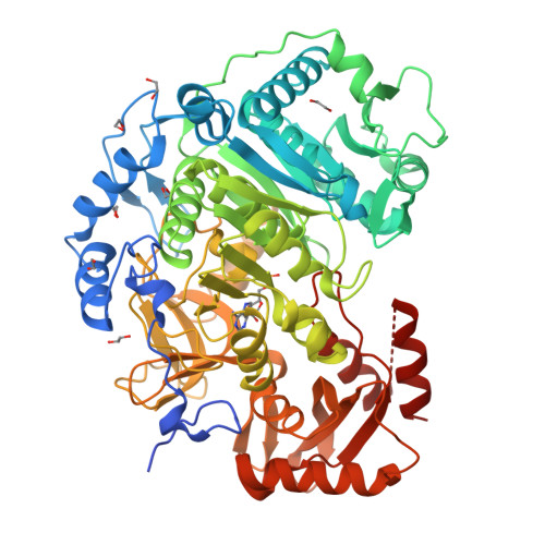 RCSB PDB 5K85 Crystal Structure Of Acetyl CoA Synthetase In Complex