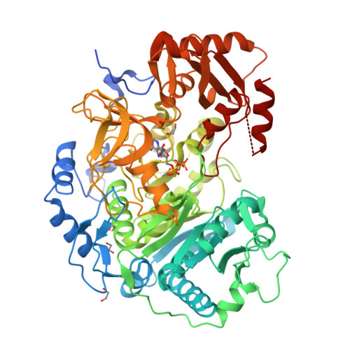 RCSB PDB 5K8F Crystal Structure Of Acetyl CoA Synthetase In Complex