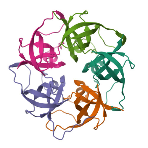 Rcsb Pdb L The Structure Of The Pentameric Shell Protein Msm