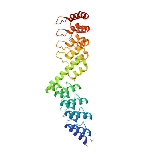 Rcsb Pdb Le Crystal Structure Of Darpin Darpin Rigid Fusion