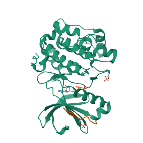 RCSB PDB 5LVP Human PDK1 Kinase Domain In Complex With An HM Peptide