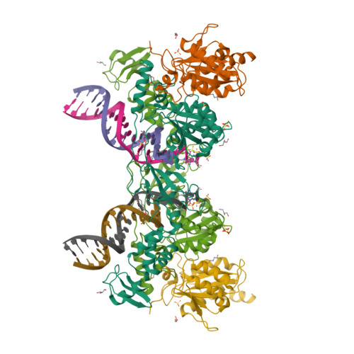 RCSB PDB 5MMB Crystal Structure Of The Prototype Foamy Virus PFV