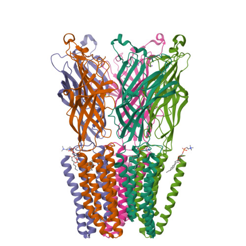 RCSB PDB 5MUR X Ray Structure Of The F14 A Mutant Of GLIC In Complex