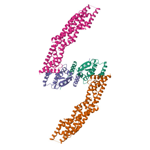 Rcsb Pdb Nlb Crystal Structure Of Human Cul N Terminal Domain