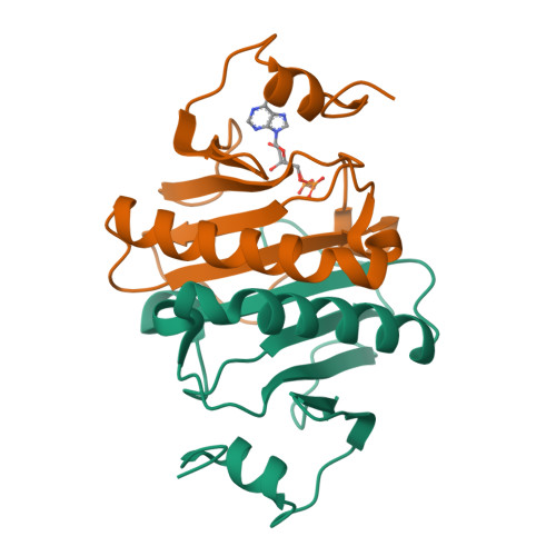 Rcsb Pdb O I Crystal Structure Of Human Histidine Triad Nucleotide