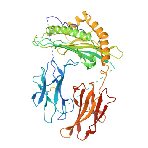 Rcsb Pdb Oqg Crystal Structure Of A Single Chain Trimer Composed Of