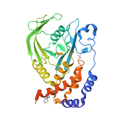 RCSB PDB 5QDF PanDDA Analysis Group Deposition Crystal Structure