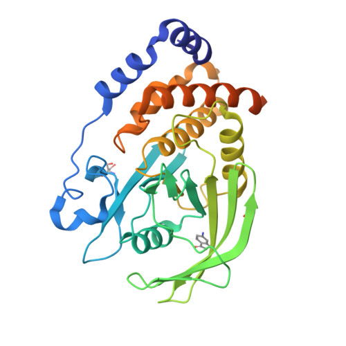 Rcsb Pdb Qet Pandda Analysis Group Deposition Crystal Structure