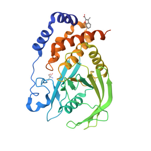 RCSB PDB 5QF5 PanDDA Analysis Group Deposition Crystal Structure